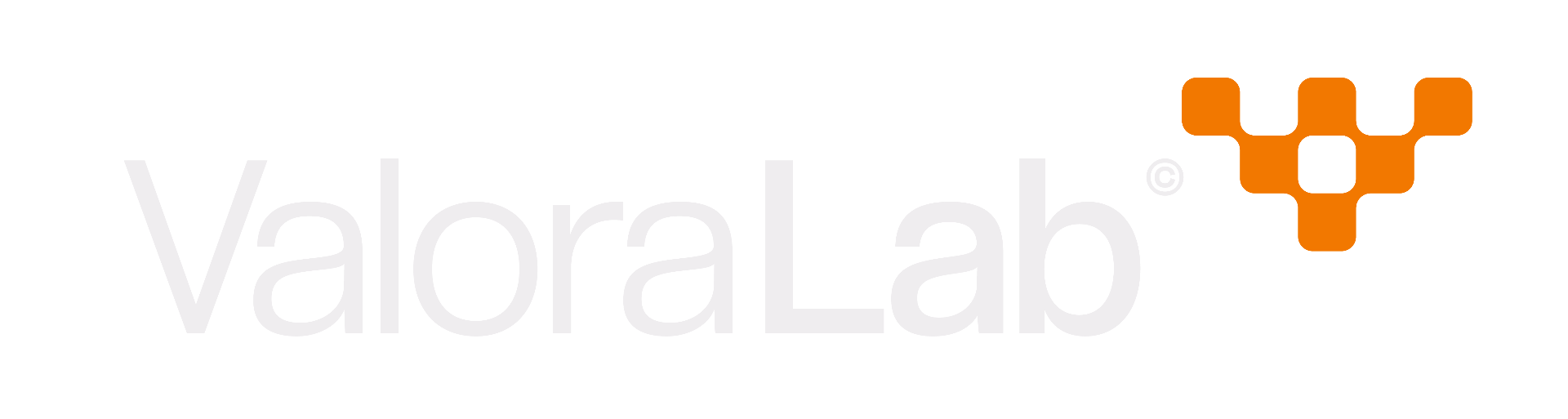 ValoraLab